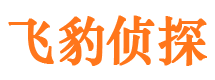 鹿城侦探公司